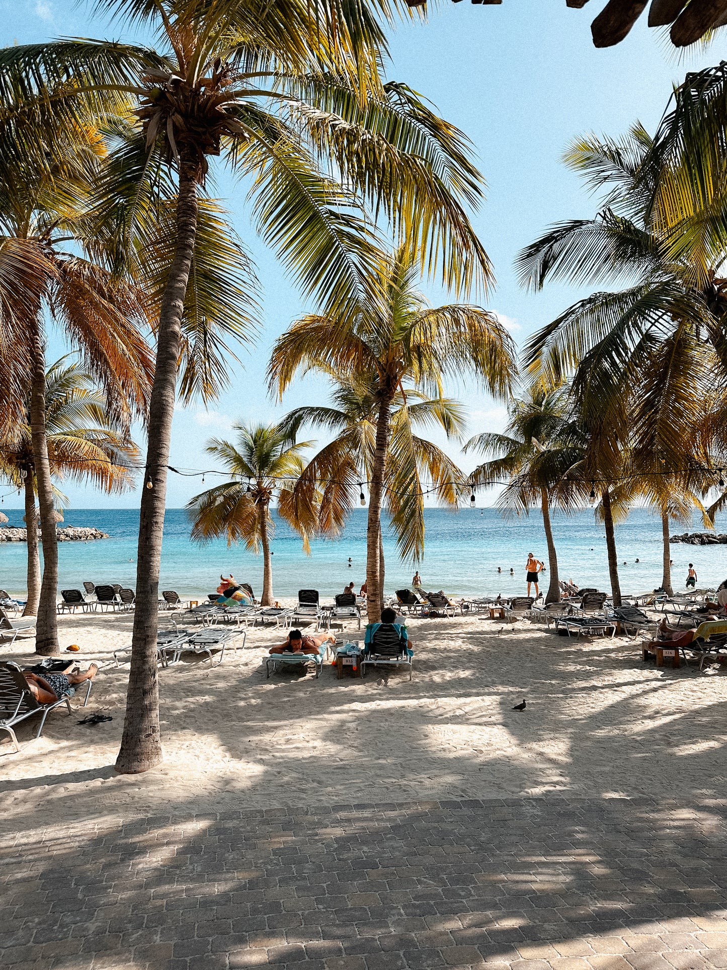 Aanbetaling: Girls Trip Curaçao