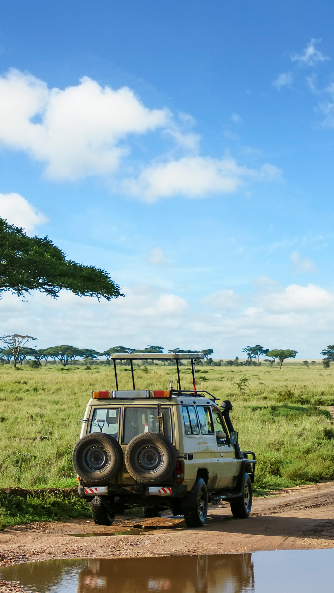 Aanbetaling: Girls Trip Tanzania & Zanzibar