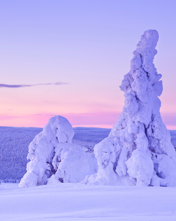 Bye bye Lapland!