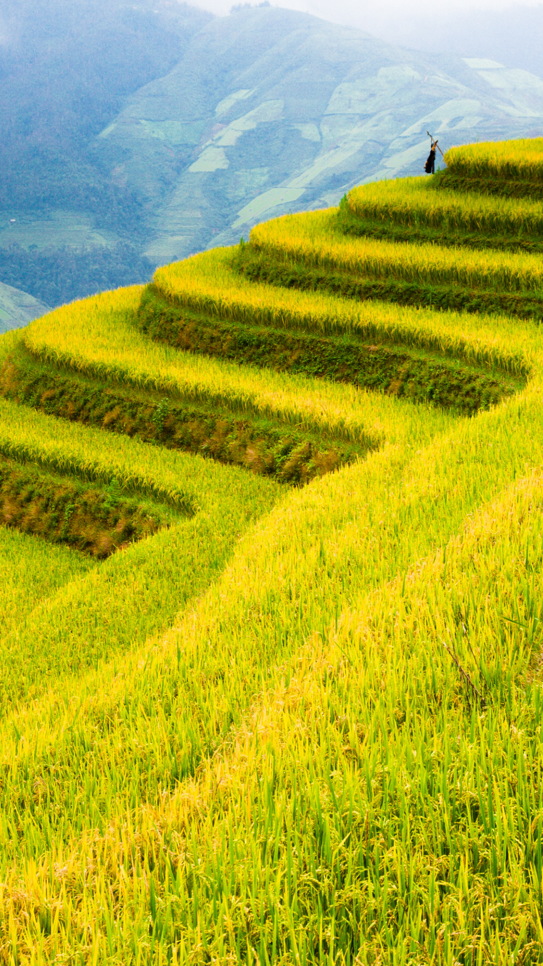 Aanbetaling: Girls Trip Vietnam